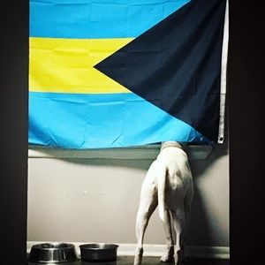 Meet your Posher, Bacola